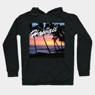 Hawaii - You Can't Afford It: Funny Parody of Vacation Souvenir Hoodie